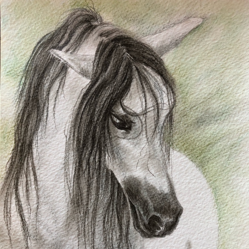 Horse drawing